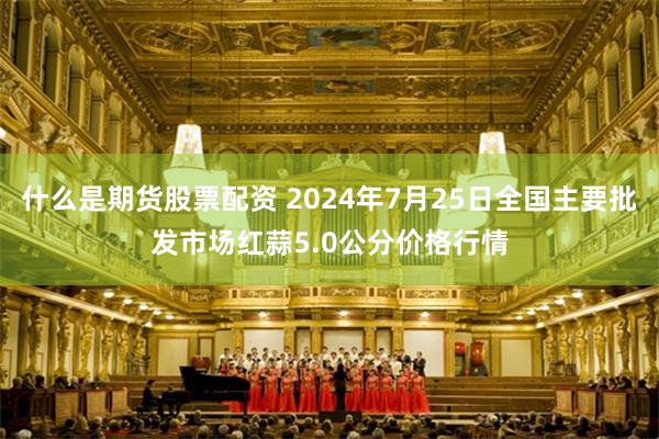 什么是期货股票配资 2024年7月25日全国主要批发市场红蒜5.0公分价格行情