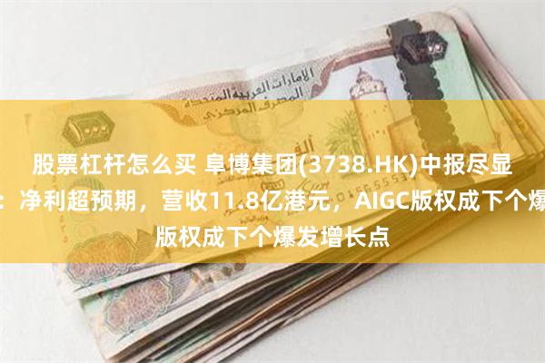 股票杠杆怎么买 阜博集团(3738.HK)中报尽显强劲增长：净利超预期，营收11.8亿港元，AIGC版权成下个爆发增长点