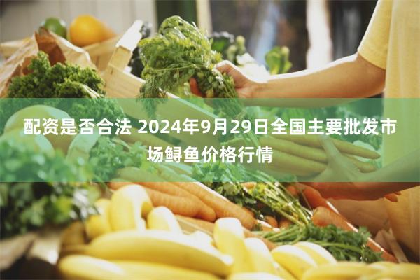 配资是否合法 2024年9月29日全国主要批发市场鲟鱼价格行情