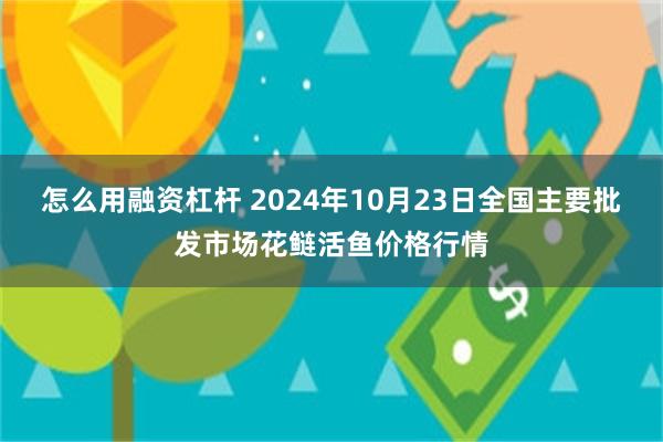 怎么用融资杠杆 2024年10月23日全国主要批发市场花鲢活鱼价格行情