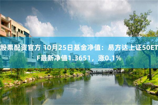 股票配资官方 10月25日基金净值：易方达上证50ETF最新净值1.3651，涨0.1%