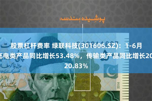 股票杠杆费率 绿联科技(301606.SZ)：1-6月公司充电类产品同比增长53.48%，传输类产品同比增长20.83%