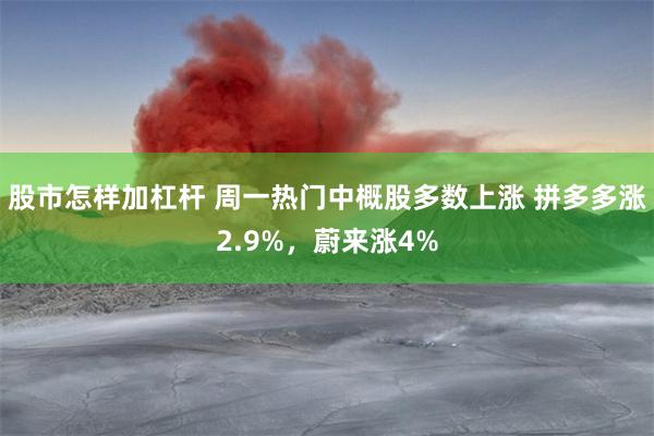 股市怎样加杠杆 周一热门中概股多数上涨 拼多多涨2.9%，蔚来涨4%