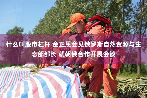 什么叫股市杠杆 金正恩会见俄罗斯自然资源与生态部部长 就朝俄合作开展会谈