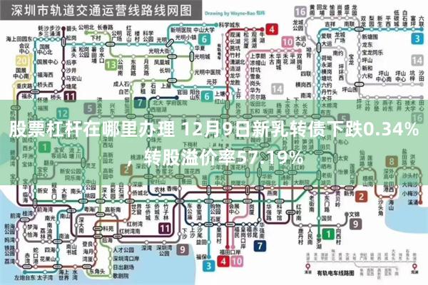 股票杠杆在哪里办理 12月9日新乳转债下跌0.34%，转股溢价率57.19%