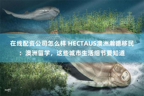 在线配资公司怎么样 HECTAUS澳洲瀚德移民：澳洲留学，这些城市生活细节要知道